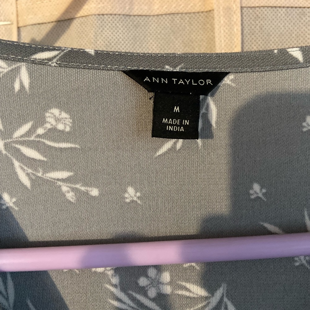 Medium Ann Taylor sheer top